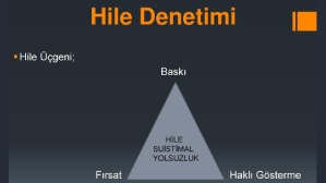 HİLE VE SUİSTİMAL DENETİMLERİ