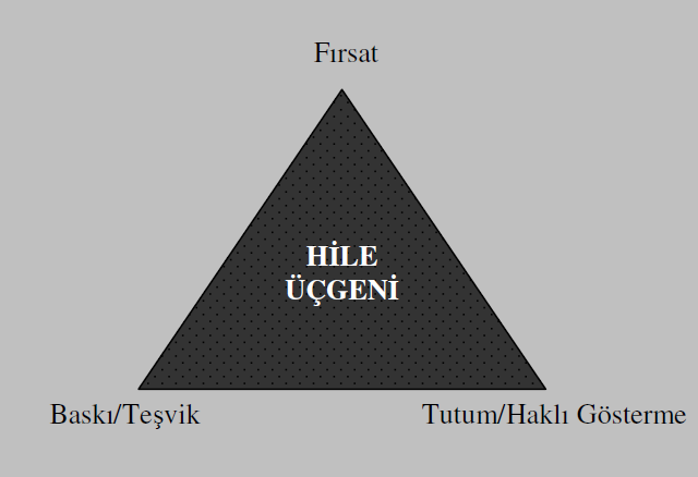 HİLE VE SUSİTİMAL DENETÇİLİĞİ EĞİTİMLERİ